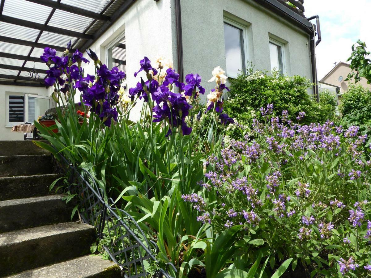 FeWo Batek Trechtingshausen Exterior foto